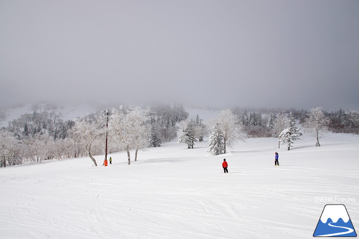 札幌国際スキー場 Welcome back POWDER SNOW !! ～パウダースノー復活～